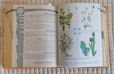 Большая энциклопедия народной медицины 2007 до 22.02.25 - 20250205_113524