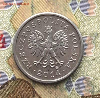 Польша 10 грош 2014 до 24.02 в 22.00 - IMG_E5692.JPG