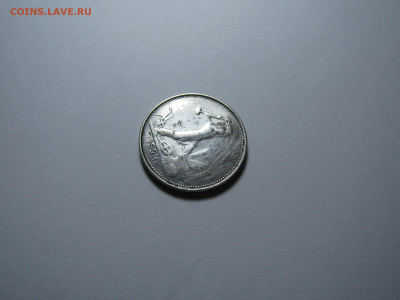 50 копеек 1924 г ТР (бюдж) до 22,02 в 22,30 мск - IMG_5158.JPG