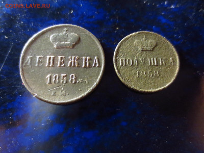 Полушка и денежка 1858 года,до 24.02.в 22.00 - IMG_3440[1].JPG
