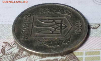 10 копеек 1992 Украина. Шестиягодник. 2 монеты. Оценка. - photo_2025-02-18_15-07-56