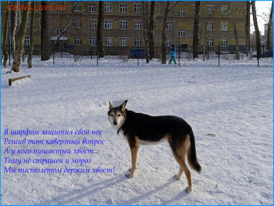 Стихи на заданную тему - 2025-02-18== (5)
