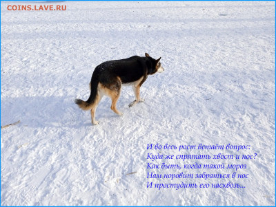 Стихи на заданную тему - 2025-02-18== (4)