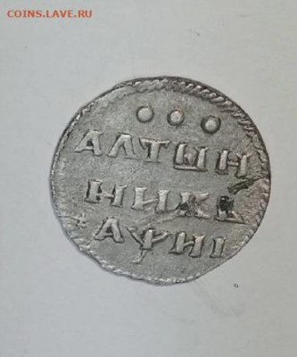 Алтынник год буквами . - IMG_3713