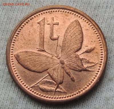 Папуа - Новая Гвинея 1 тойя 2004 до 24.02.2025 - Гвинея 1 тойя.JPG