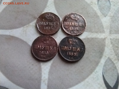 4 полушки 1854,1855,1856,1858 до 23.02.2025 - 4пол (5)