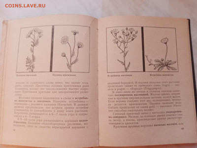 Рассказы о растениях - IMG_20250220_172859