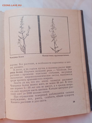 Рассказы о растениях - IMG_20250220_173204