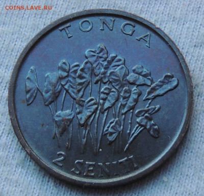 Тонга 2 сенити 1981 до 24.02.2025 - Тонга 2 сенити 81 .JPG