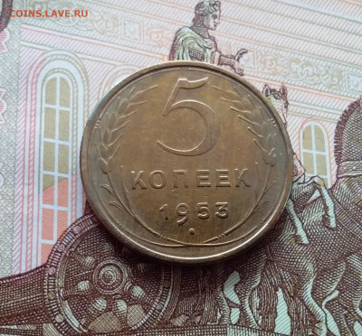 5 копеек 1953. До 26.02.25 в 22.00 - 20250221_142056