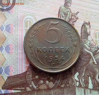5 копеек 1954. До 26.02.25 в 22.00 - 20250221_142306
