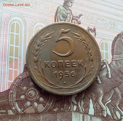 5 копеек 1956. До 26.02.25 в 22.00 - 20250221_142505