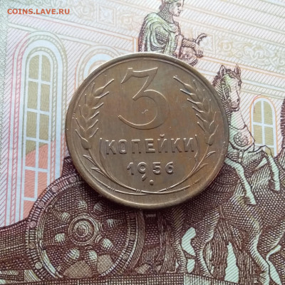 3 копейки 1956. До 26.02.25 в 22.00 - 20250221_155256
