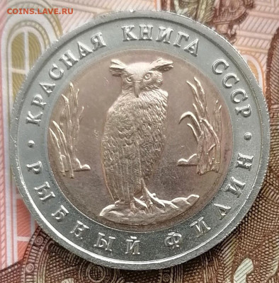 5 рублей 1991 Красная книга Филин до 26. 02.2025 в 22.00 мск - IMG_20250222_094651_edit_270905762356579