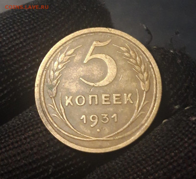 5 копеек 1931 года СССР До 28.02 - 20240921_201451
