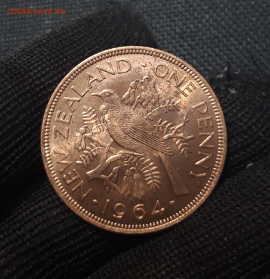 НОВАЯ ЗЕЛАНДИЯ 1 пенни 1964 года До 28.02 - 20241229_175202