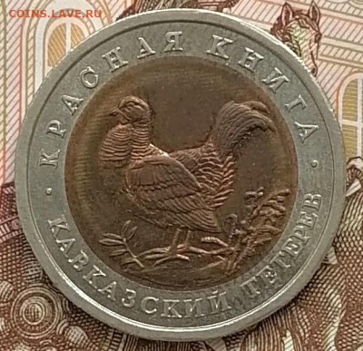 50 рублей 1993 Кавказский тетерев до 26.02.2025г в 22.00 мск - IMG_20250222_101049_edit_272161796728262