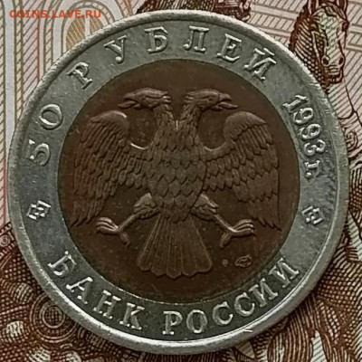 50 рублей 1993г Туркменский зублефар до 26.02.25 в 22.00 мск - IMG_20250222_101315_edit_272329405758445