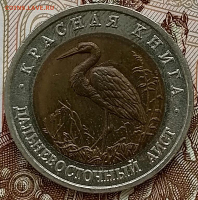 50 рублей 1993 Дальневосточный аист до 26.02.25 в 22.00 мск - IMG_20250222_101439_edit_272380029853229