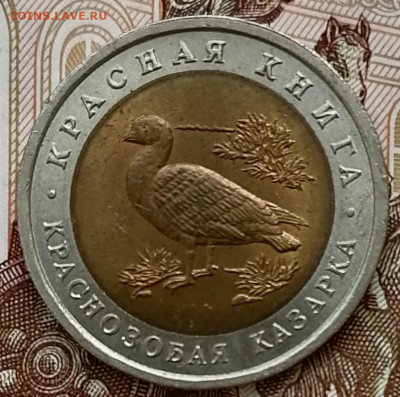 10 рублей 1992 Краснозобая казака до 26.02.2025 в 22.00 мск - IMG_20250222_101604_edit_272845892905762