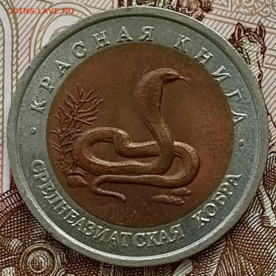 10 рублей 1992 Среднеазиатская кобра до 26.02.25 в 22.00 мск - IMG_20250222_101625_edit_272900583610962