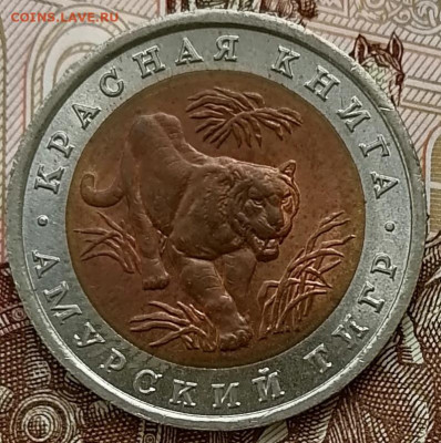 10 рублей 1992 КК Амурский тигр до 26.02.2025г. в 22.00 мск - IMG_20250222_101648_edit_272950447107308