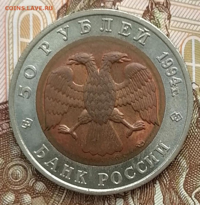 50 рублей 1994г Красная книга Зубр до 26.02.2025 в 22.00 мск - IMG_20250222_100749_edit_271964188655376