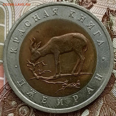 50 рублей 1994 Красная книга Джейран до 26.02.25 в 22.00 мск - IMG_20250222_100830_edit_272037490812656