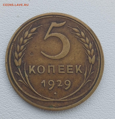 5 копеек 1929 до 26.02 до 22.00 - IMG20250222142132