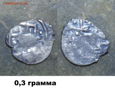 Чешуйки удел. Определение. - DSC08025.JPG
