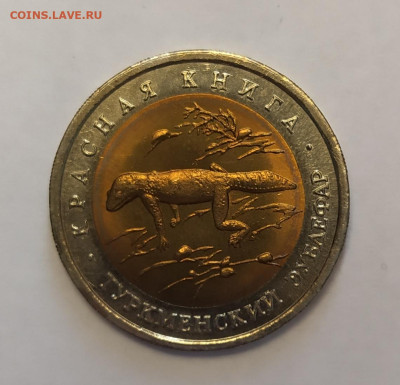 50  рублей Туркменский зублефар до 28-02-25 - 1740309352126