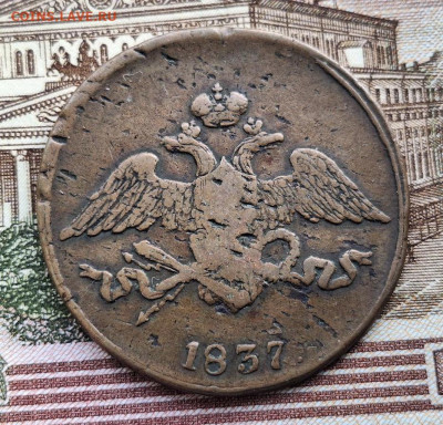 5 копеек 1837 года СМ Не из земли До 26.02.25 в 22:00 МСК - B37E736E-36FF-41D4-A376-8EF2FAE9F093