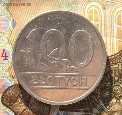 Польша 100 злотых 1990 до 27.02 в 22.00 - IMG_E6248.JPG