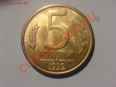  до 9.02 - DSC02935.JPG