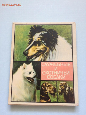 Сувенирные наборы спичек СССР на банкноты. - IMG_7573-25-02-25-06-46.JPG