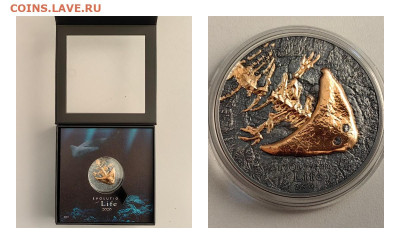 Монголия 500тугр 2020 Эволюция жизни. Диплокаулус Ag999 - Ю Эволюция 2020 Диплокаус-0