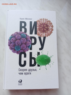 Вирусы. Скорее друзья чем враги. - IMG_20250226_143859