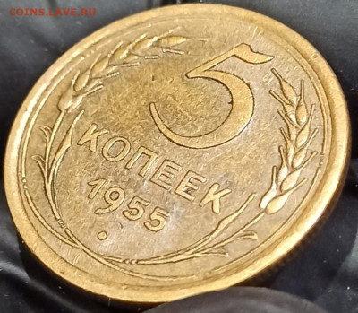 5 копеек 1955 До 03.03.25 в 22.00 МСК - 1711957076279