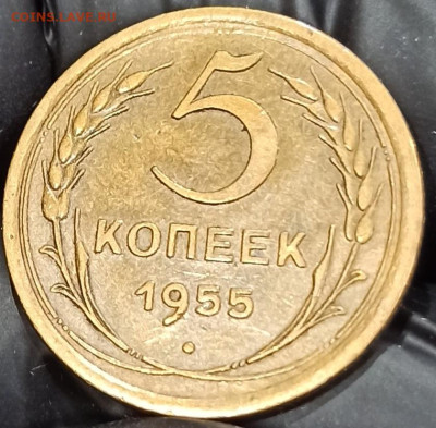 5 копеек 1955 До 03.03.25 в 22.00 МСК - 1711957076335