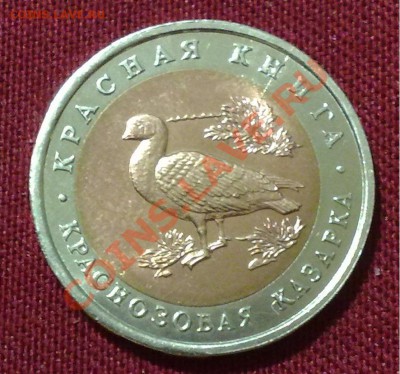 10 руб. 1992 Краснозобая казарка: раскол+смещение вставки - 060220122260