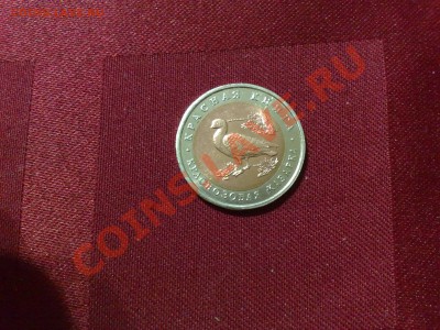 10 руб. 1992 Краснозобая казарка: раскол+смещение вставки - 060220122260.1