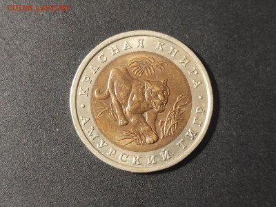 КК 10 рублей Амурский тигр 1992г до 04.03.2025 года в 22.00 - photo_2025-02-15_22-34-39