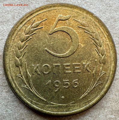 5 копеек 1956  07.03.25  22-00 - 5-56