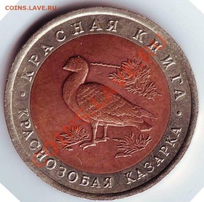10 руб. Кр. кн. 1992 г. Красн. казар.  до 13.02.12 г. в 19.0 - IMAGE0046.JPG