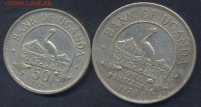Уганда 50 центов, 1 шиллинг 1976 г.3.03.2025 г. 22 -00 МСК. - Уганда