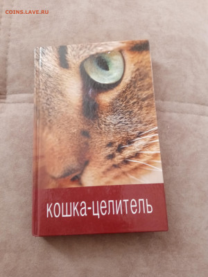 Кошка целитель. До 08.03.25.в 22:00 по мск - IMG_20250302_170143