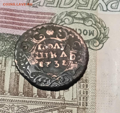 Полушка 1737 года - 20250227_200958