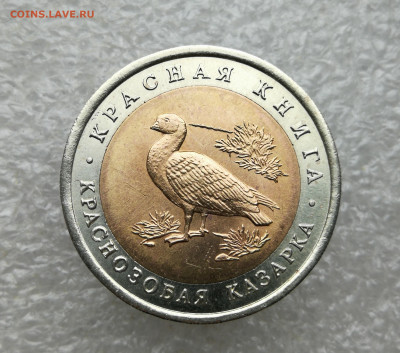 10 руб 1992г КК казарка до 6.03 в 22-00 - IMG_20250302_175038