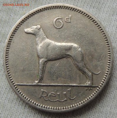 Ирландия 6 пенсов 1963 до 05.03.2025 - Ирландия 6 пенсов 1963.JPG