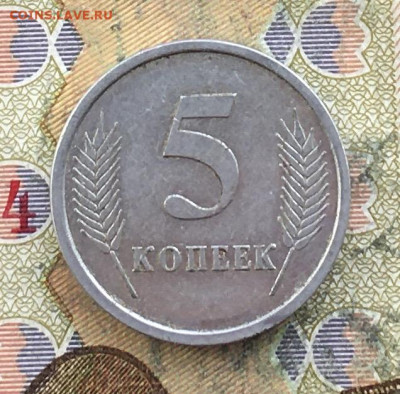 Приднестровье 5 копеек 2005 до 06.03.2025 в 22.00 - IMG_E6184.JPG